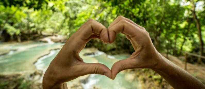 A person is making a heart shape with their hands. They are in a forest and we are looking at a lush stream through they heart.